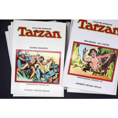 TARZAN Sonntagsseiten HC Comic Album Hethke Dschungel...